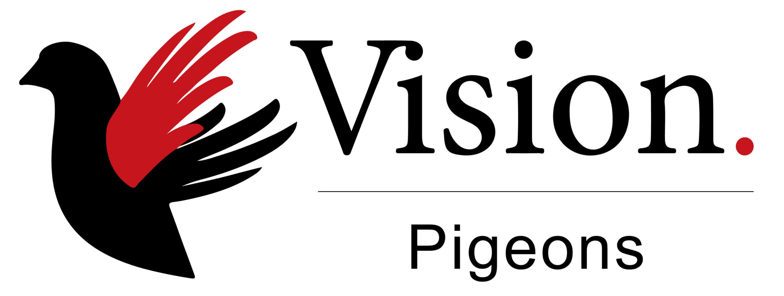 Vision Pigeons Logo